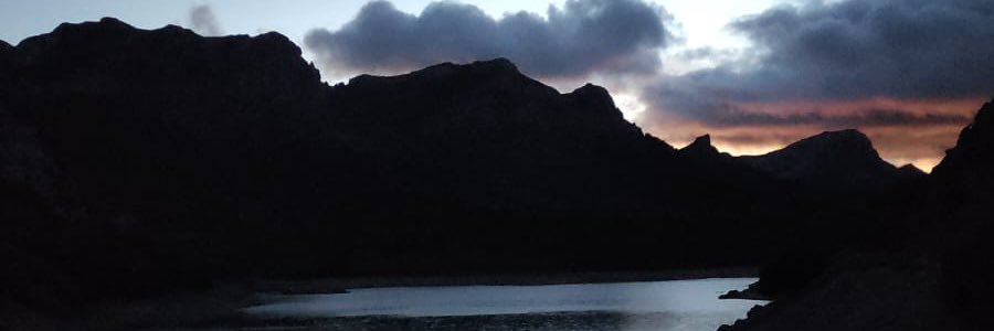 suaau_'s profile banner image