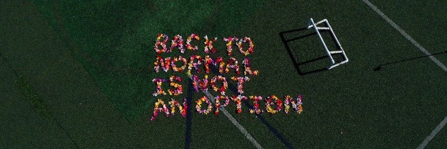 🏳️‍🌈 Andrew D. Jankowski 🏳️‍🌈 banner