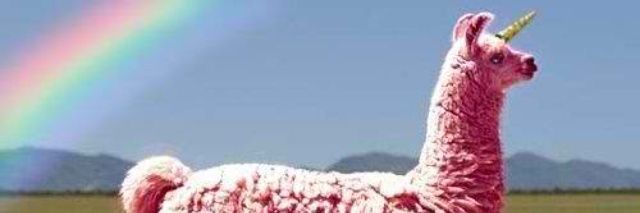 robb_martin's profile banner image