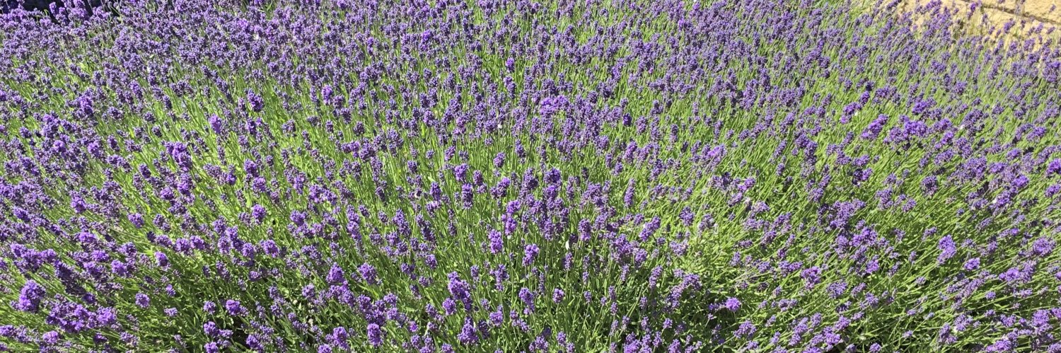 mrjamesmeare's profile banner image