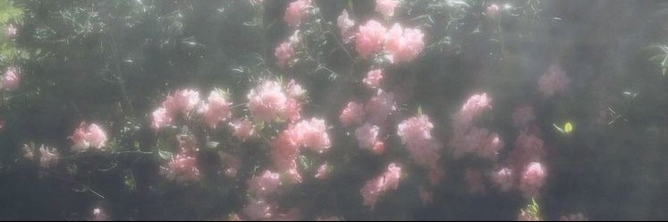 elwdmi's profile banner image