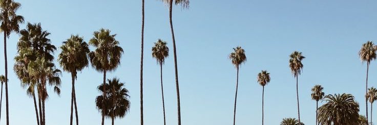 cassiegasson's profile banner image