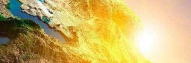 Mehrdad Mir banner