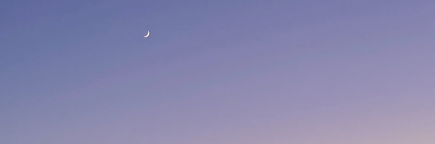 YoPerreoSolav's profile banner image