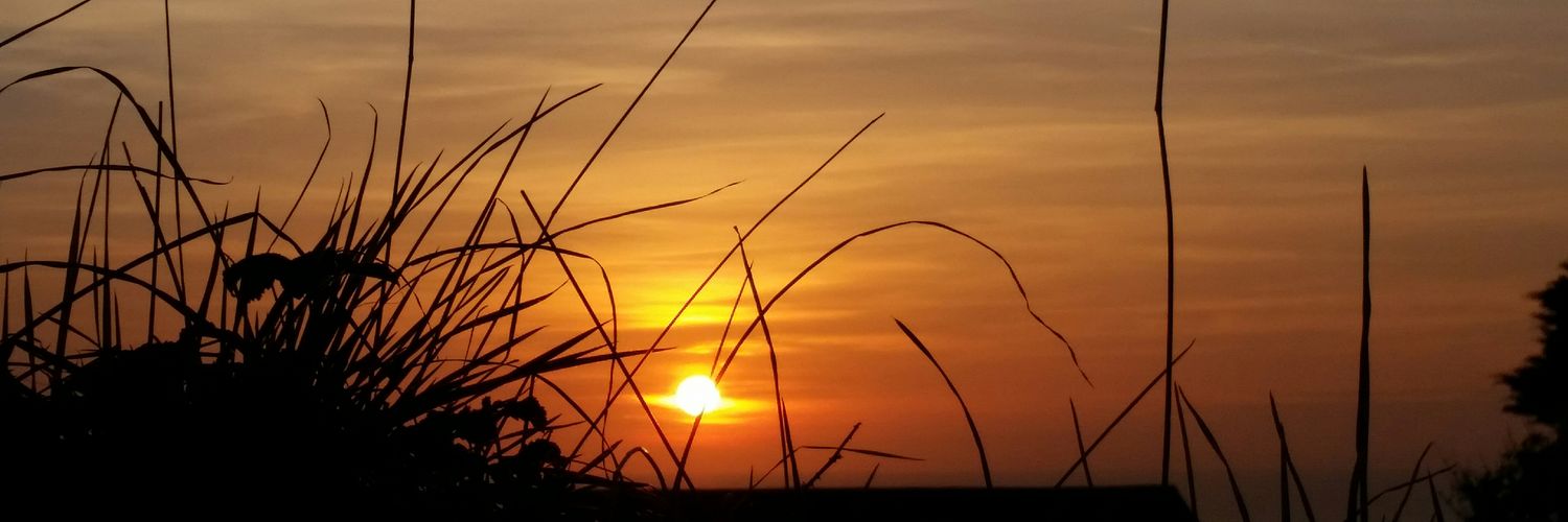 debbiemoore247's profile banner image