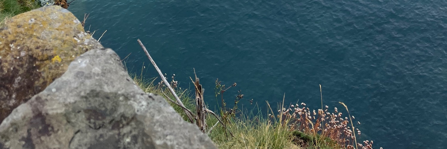 Nicoleta Adele banner