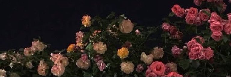 1vx98's profile banner image
