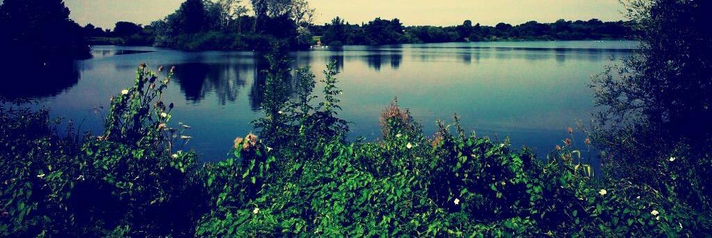 reginaldo173's profile banner image