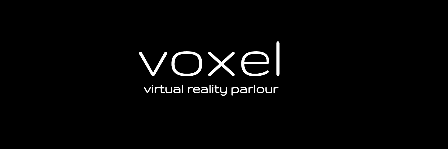 Team Voxel banner