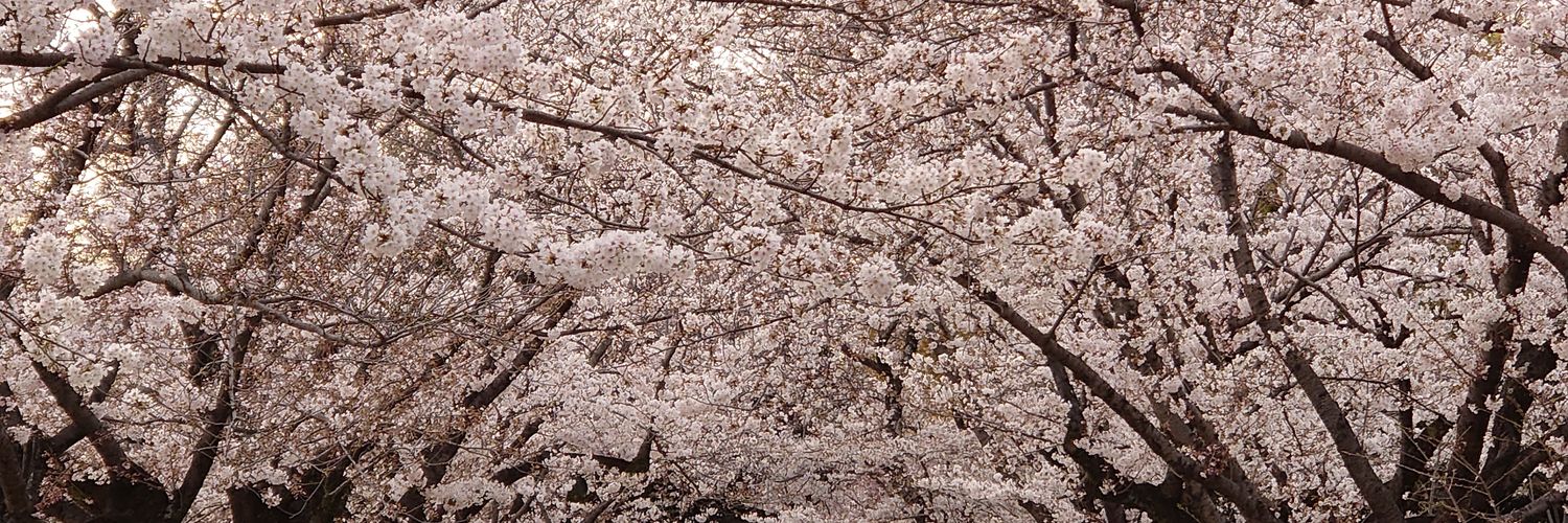 koretiyo's profile banner image