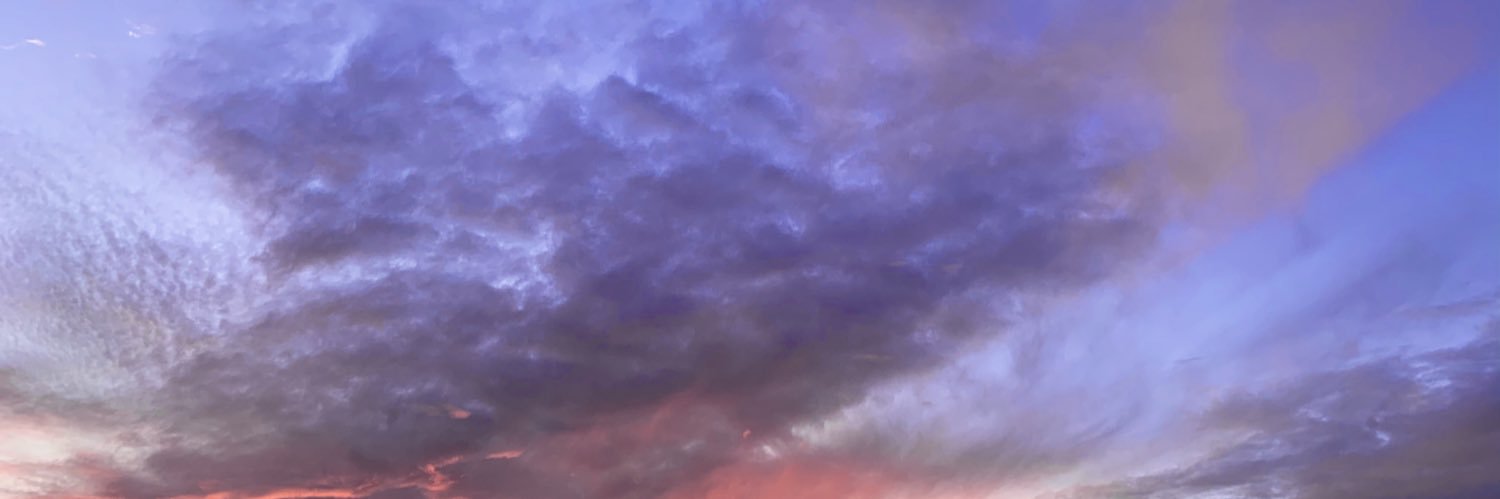 CaterinaLuceri's profile banner image