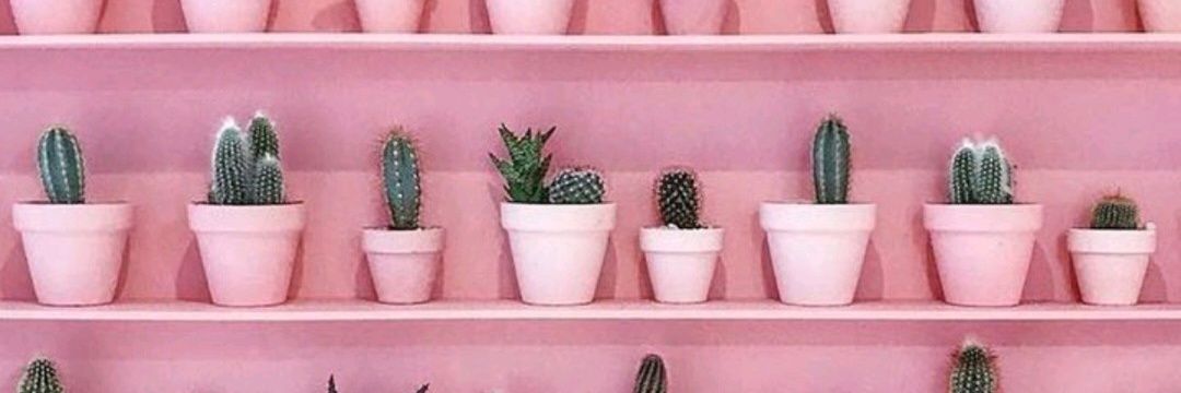 florescamila99's profile banner image