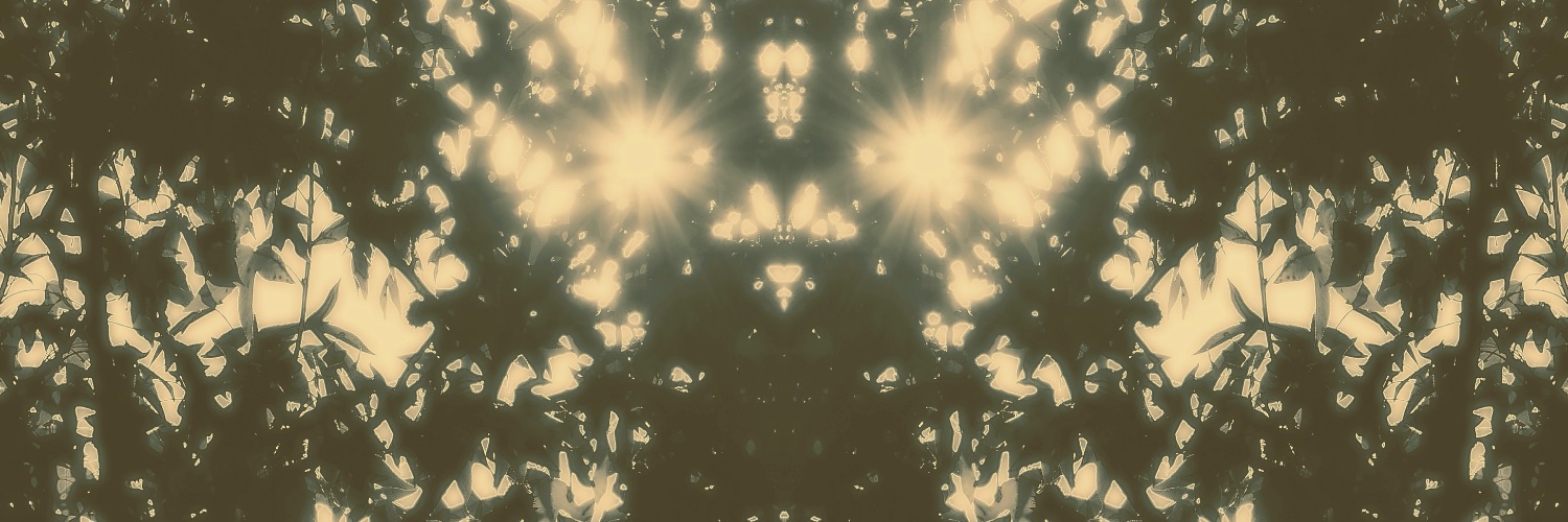 plumagris 🐦 banner