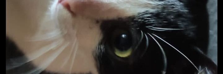 dionharisp64's profile banner image