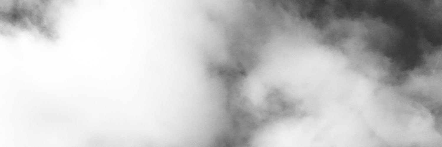 vipizberr's profile banner image