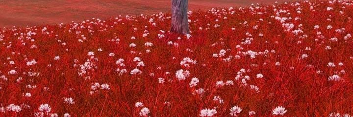 Fernand32049698's profile banner image