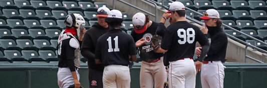 Rye Grays Baseball banner