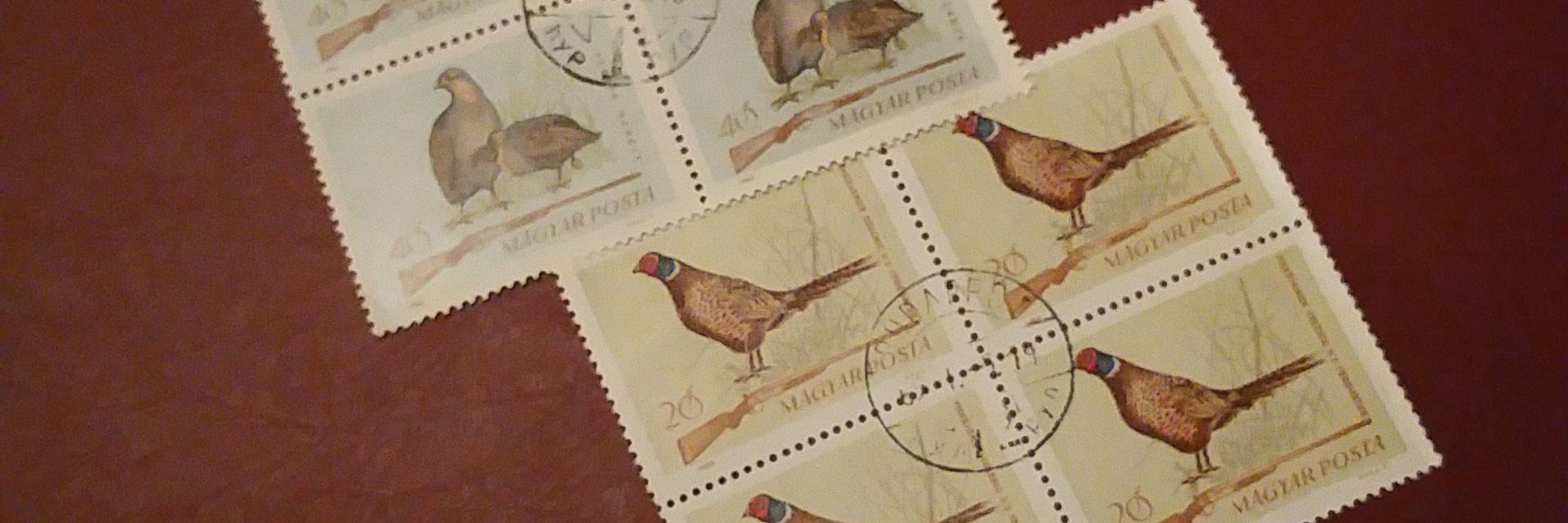 dfw_stamps's profile banner image