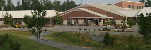 Caitlin McCommons banner