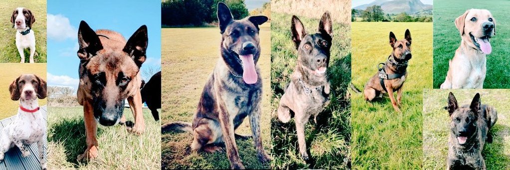 Cleveland Police Dogs banner