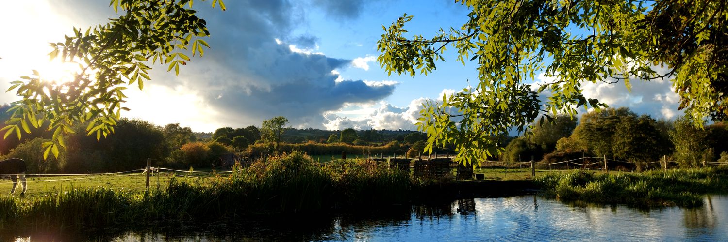 Morgan Tracey banner