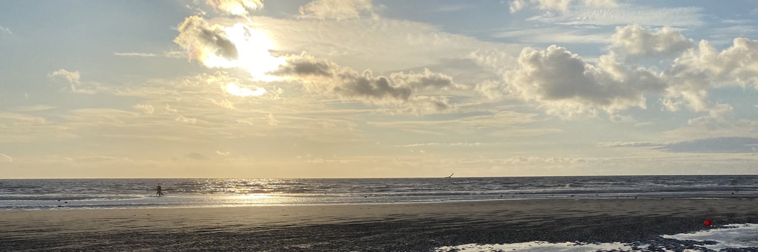 abbiestevenson4's profile banner image