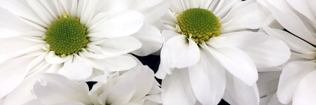 Ashley banner