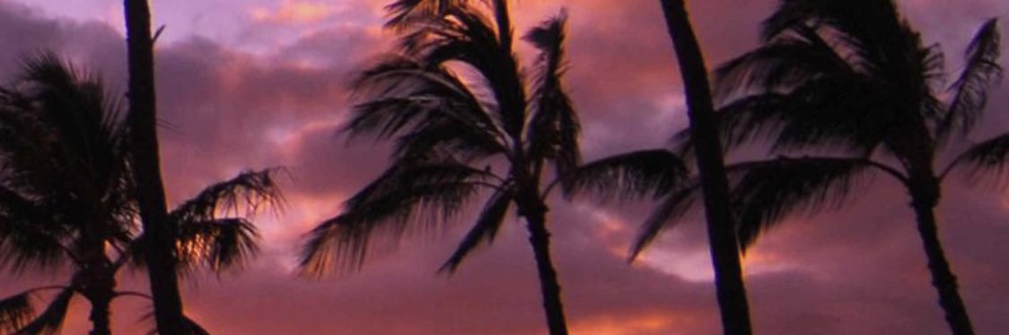 felprms's profile banner image