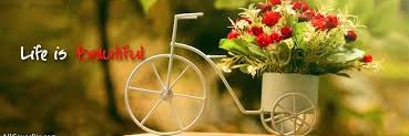 Akshaya122's profile banner image