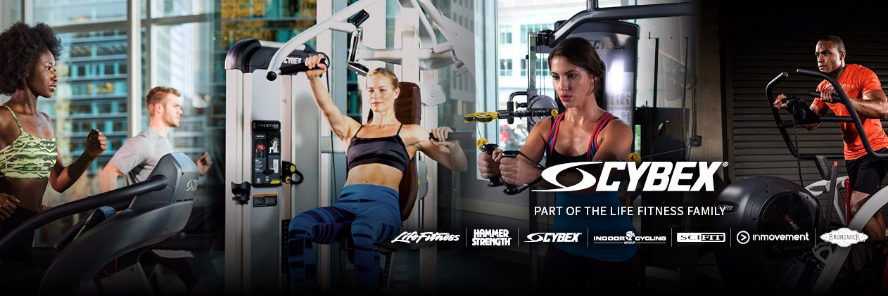 Cybex UK banner