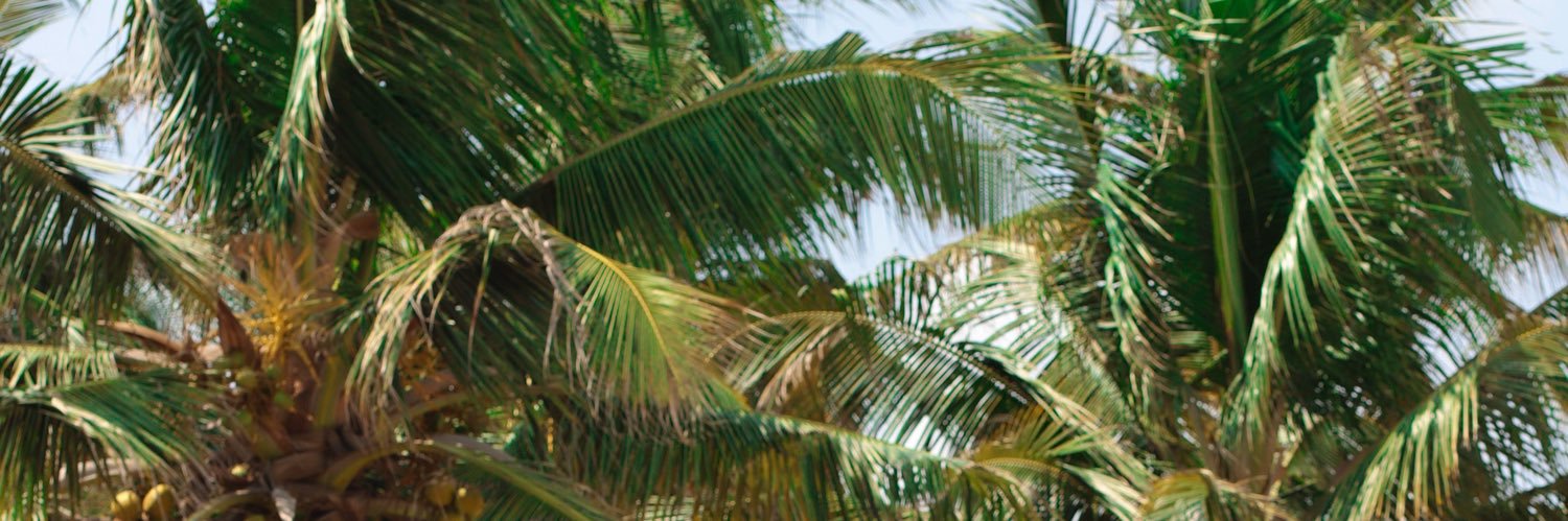 flylington's profile banner image
