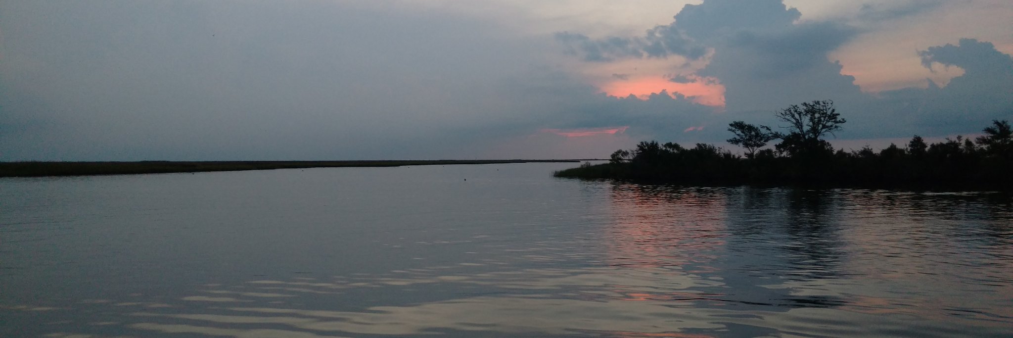 TwillDog's profile banner image