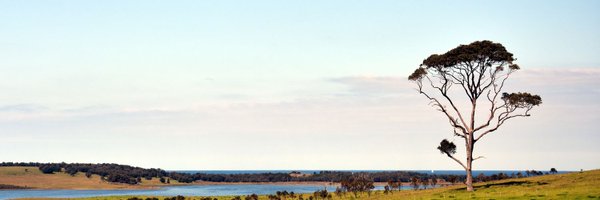 katesmith_aus Profile Banner