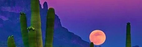 AsBestas Ican banner