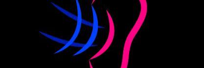 Tendencia Al Timpano banner