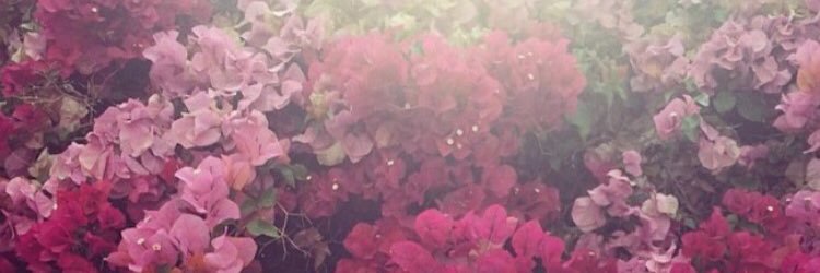 ynch7's profile banner image