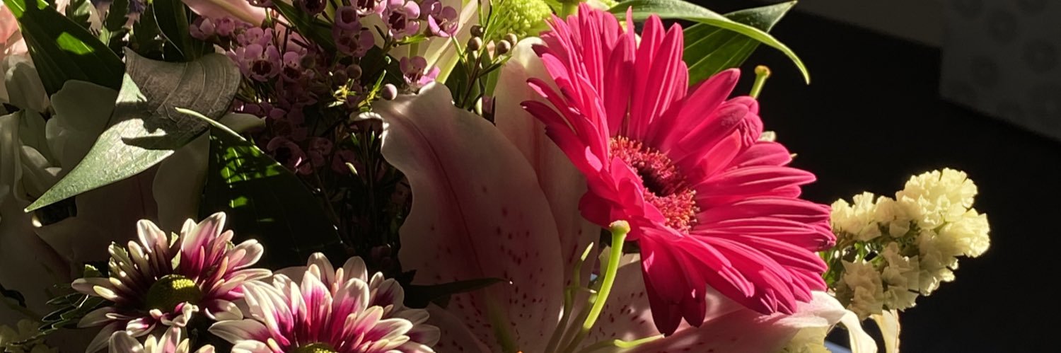 marinasanz___'s profile banner image