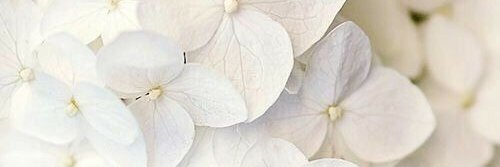 Mαrinα  ™ banner