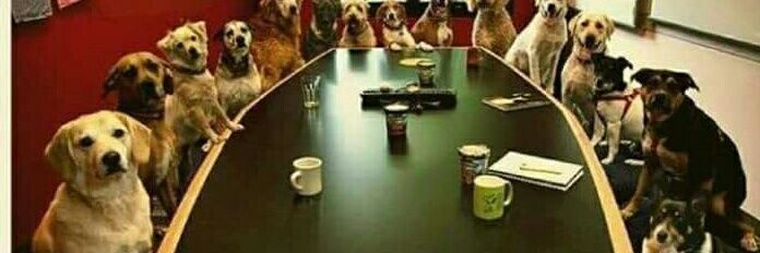 Cementerio Detonado SE DESESTIMA LA QUEJA banner