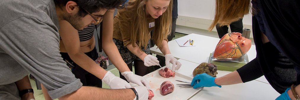 Bill Mapleson Centre banner