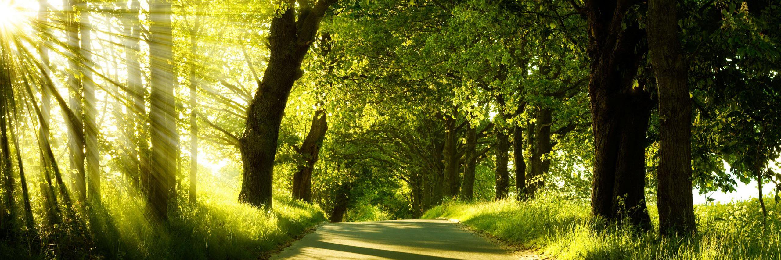 binhoodmaster banner