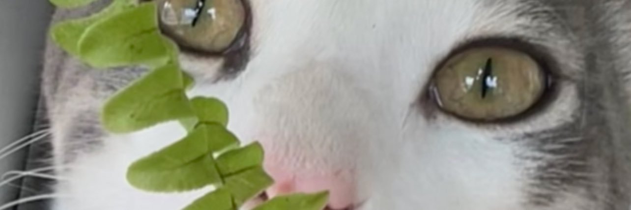 maryanbf15's profile banner image