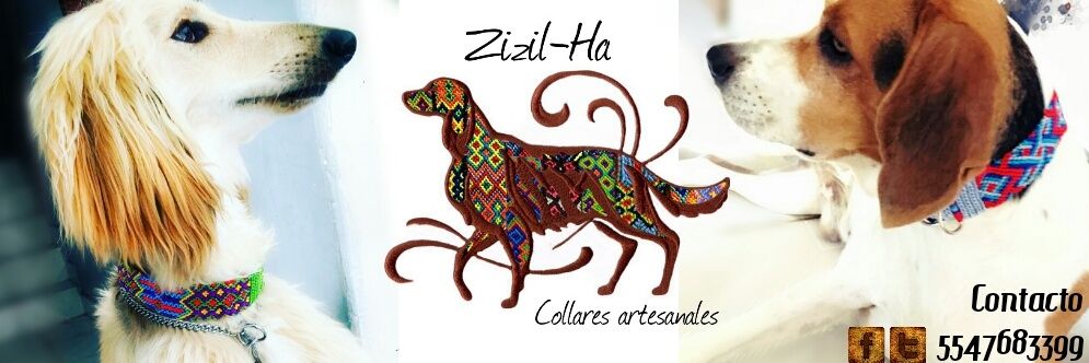 ZizilHaCollares's profile banner image