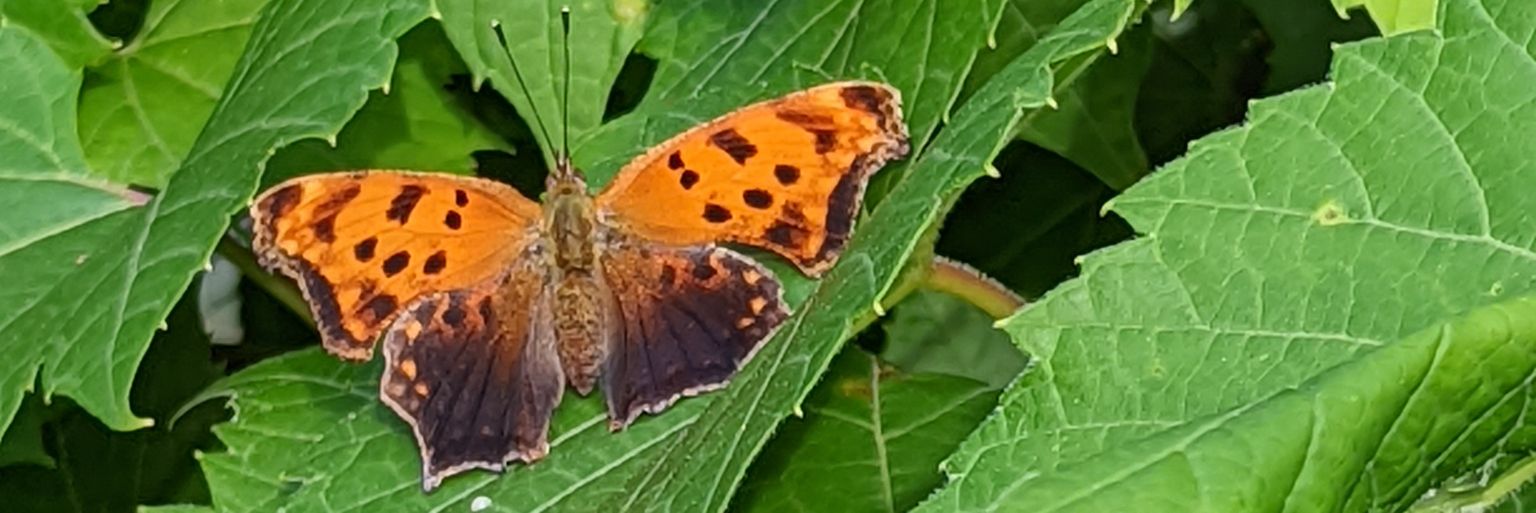 natty0555's profile banner image