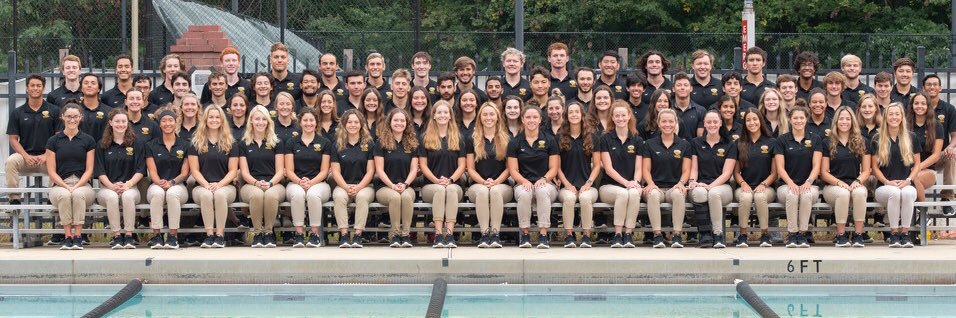 UMBCSwimDive's profile banner image