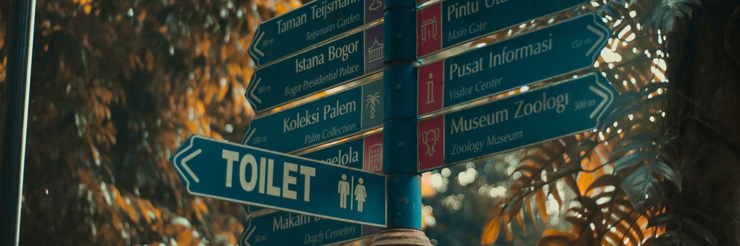 alamalaaam's profile banner image