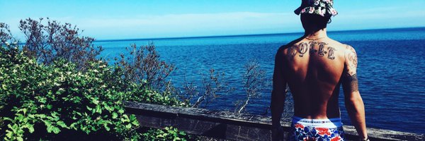 colli_flower1 Profile Banner