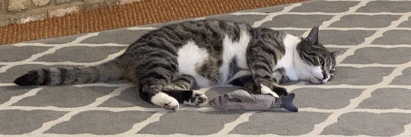 DBRacingUK Profile Banner