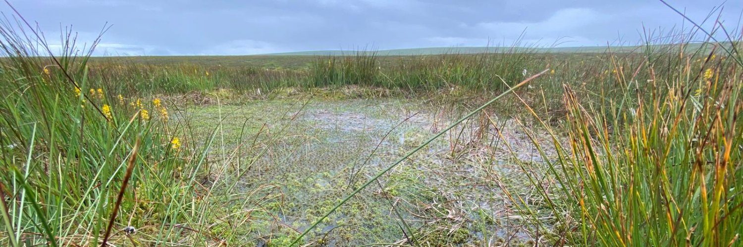 South West Peatland Partnership banner