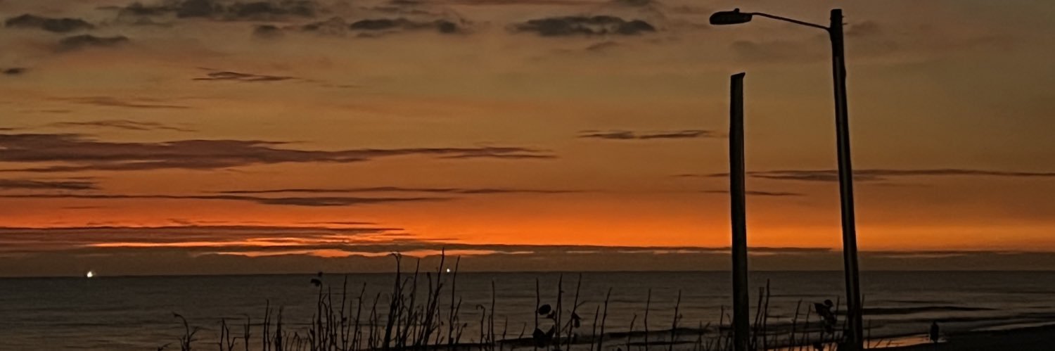 dendology's profile banner image